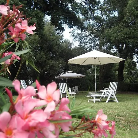Tenuta Olmatello *
