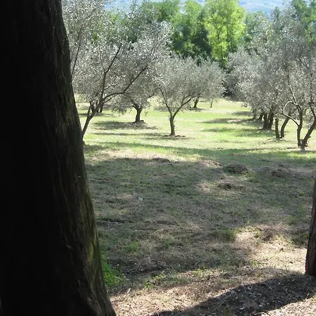 Appartamento Tenuta Olmatello