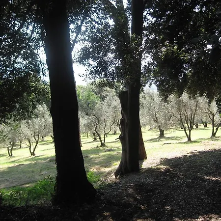 Tenuta Olmatello Quartolo