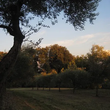 Tenuta Olmatello