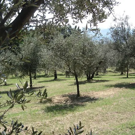Tenuta Olmatello Appartamento Quartolo
