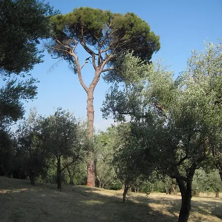 Appartamento Tenuta Olmatello Quartolo