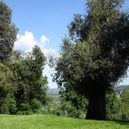Tenuta Olmatello Quartolo