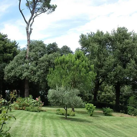 Tenuta Olmatello Appartamento *